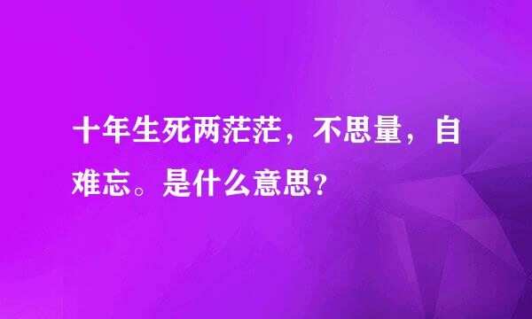 十年生死两茫茫，不思量，自难忘。是什么意思？