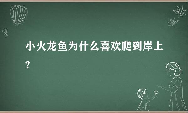 小火龙鱼为什么喜欢爬到岸上?