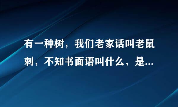 有一种树，我们老家话叫老鼠刺，不知书面语叫什么，是否有价值