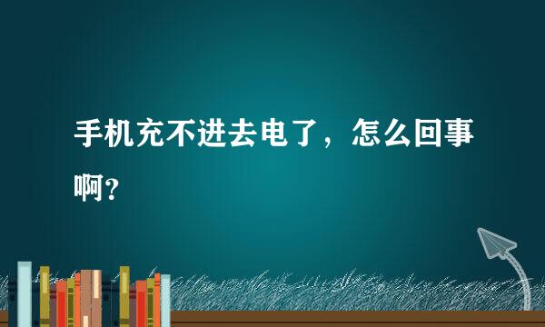 手机充不进去电了，怎么回事啊？