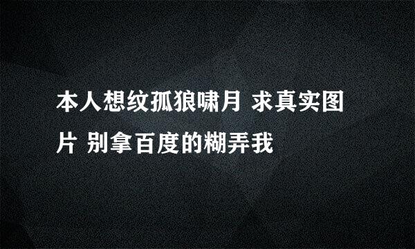 本人想纹孤狼啸月 求真实图片 别拿百度的糊弄我