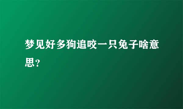 梦见好多狗追咬一只兔子啥意思？