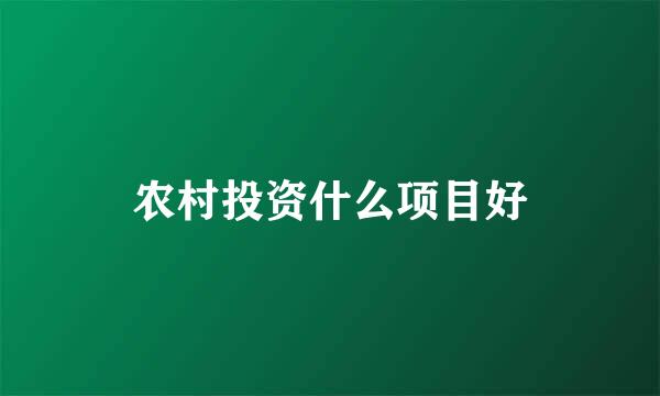 农村投资什么项目好