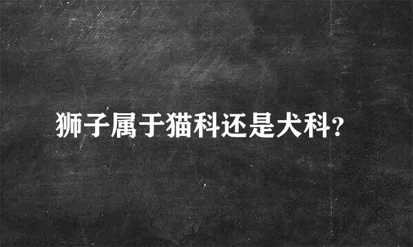 狮子属于猫科还是犬科？