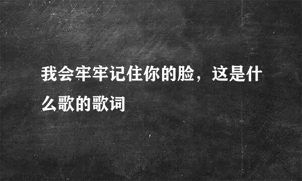 我会牢牢记住你的脸，这是什么歌的歌词