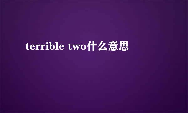 terrible two什么意思