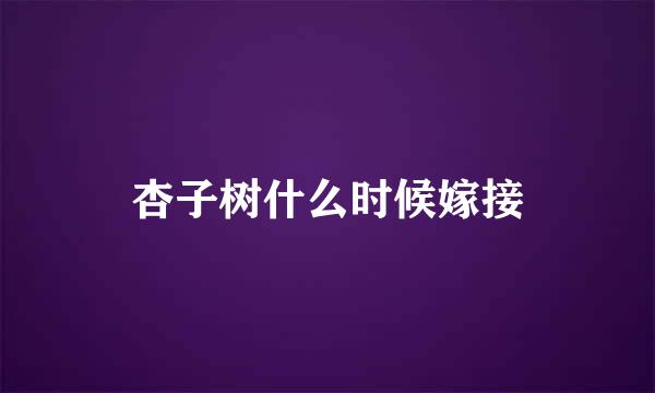 杏子树什么时候嫁接