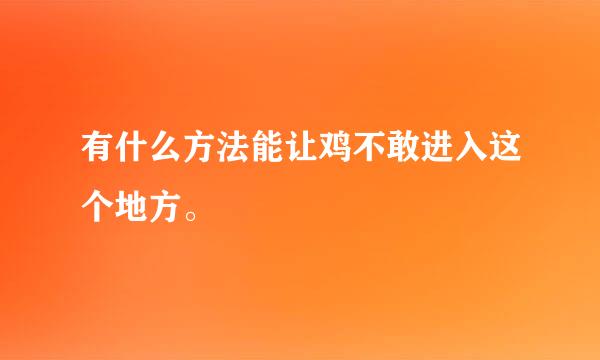 有什么方法能让鸡不敢进入这个地方。