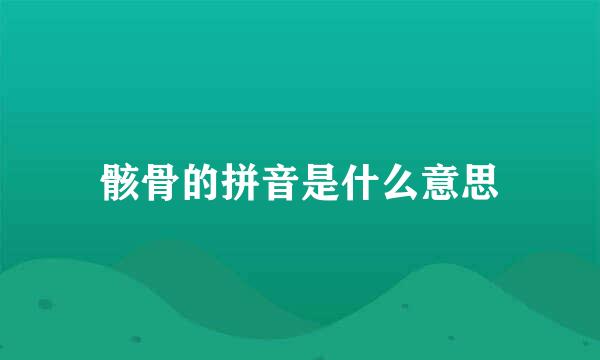 骸骨的拼音是什么意思