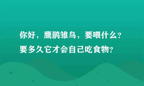 你好，鹰鹃雏鸟，要喂什么？要多久它才会自己吃食物？