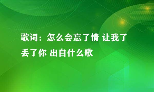 歌词：怎么会忘了情 让我了丢了你 出自什么歌