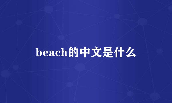 beach的中文是什么