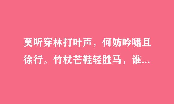 莫听穿林打叶声，何妨吟啸且徐行。竹杖芒鞋轻胜马，谁怕？一蓑烟雨任平生。