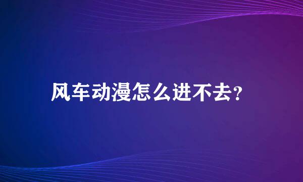 风车动漫怎么进不去？