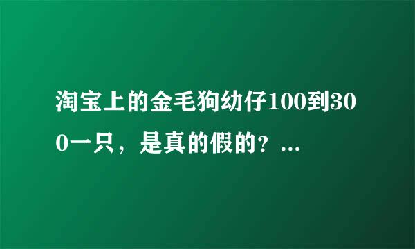 淘宝上的金毛狗幼仔100到300一只，是真的假的？还有在网上买狗狗，怎么