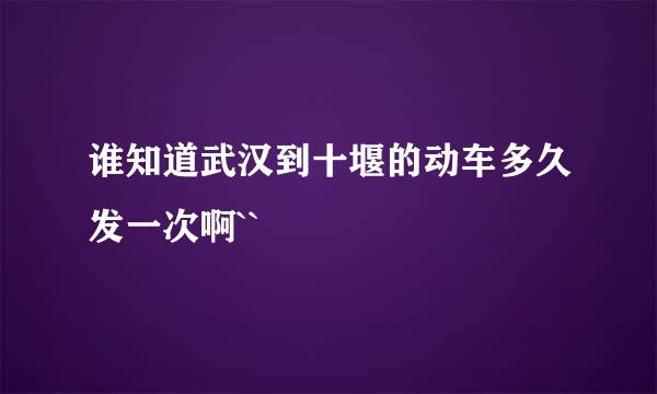 谁知道武汉到十堰的动车多久发一次啊``