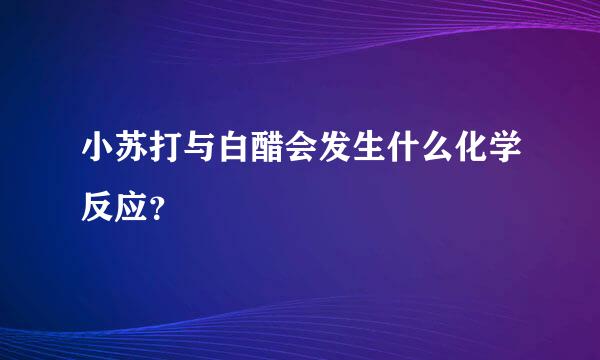 小苏打与白醋会发生什么化学反应？