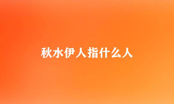 秋水伊人指什么人