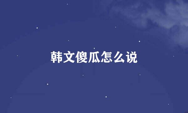 韩文傻瓜怎么说