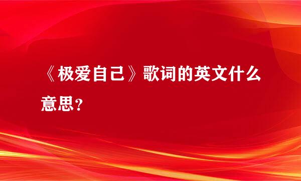 《极爱自己》歌词的英文什么意思？