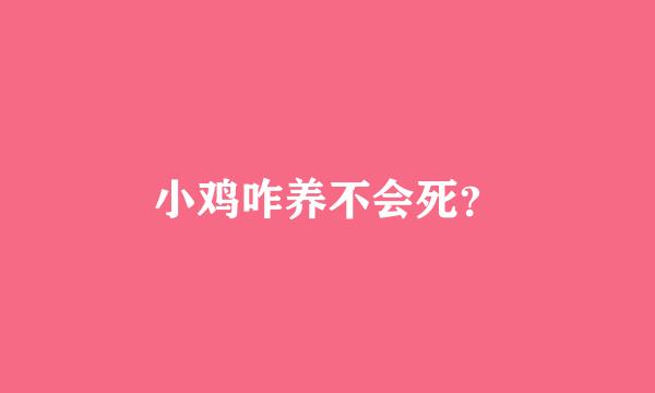 小鸡咋养不会死？