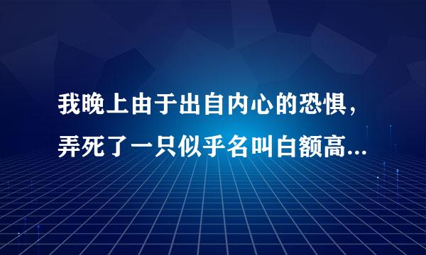 我晚上由于出自内心的恐惧，弄死了一只似乎名叫白额高脚蛛的蜘蛛，我