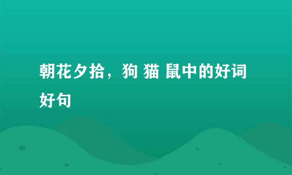 朝花夕拾，狗 猫 鼠中的好词好句