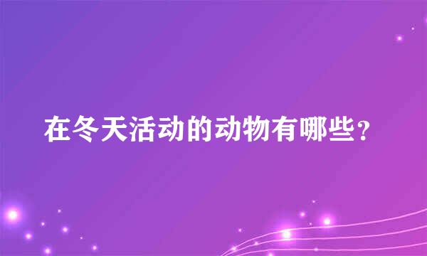 在冬天活动的动物有哪些？