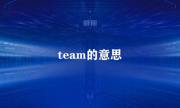 team的意思