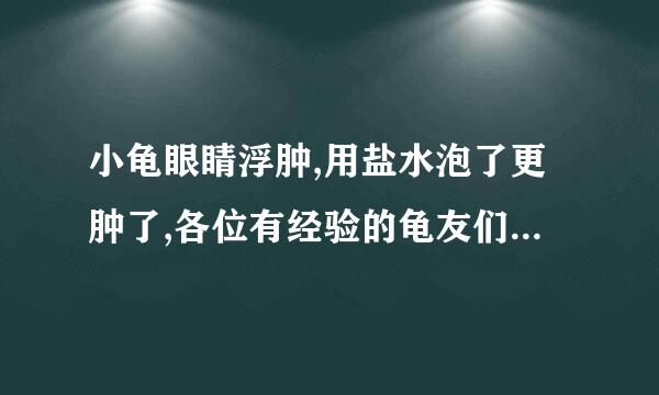 小龟眼睛浮肿,用盐水泡了更肿了,各位有经验的龟友们快来帮忙呀.