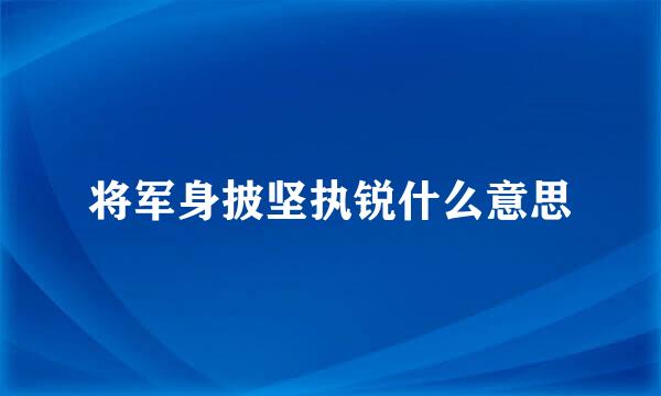 将军身披坚执锐什么意思