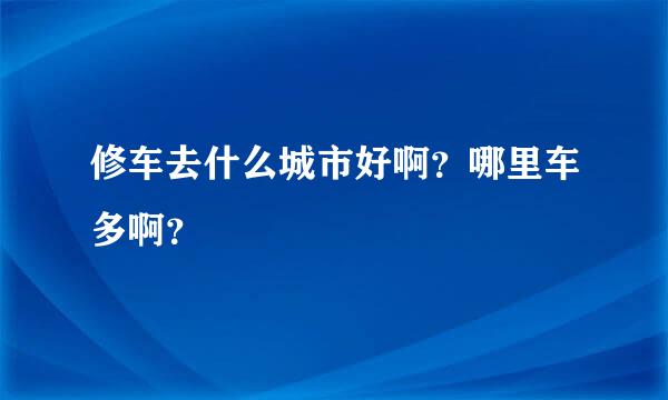 修车去什么城市好啊？哪里车多啊？