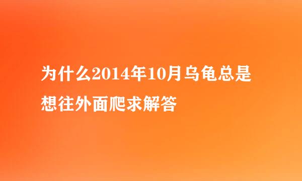 为什么2014年10月乌龟总是想往外面爬求解答