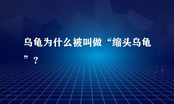 乌龟为什么被叫做“缩头乌龟”？