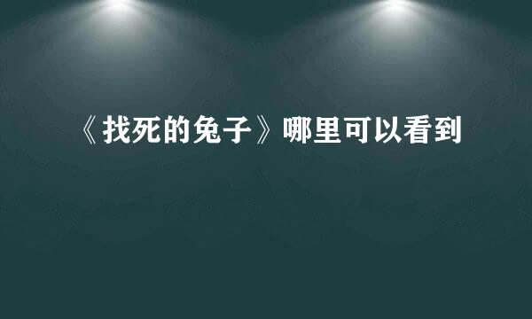 《找死的兔子》哪里可以看到