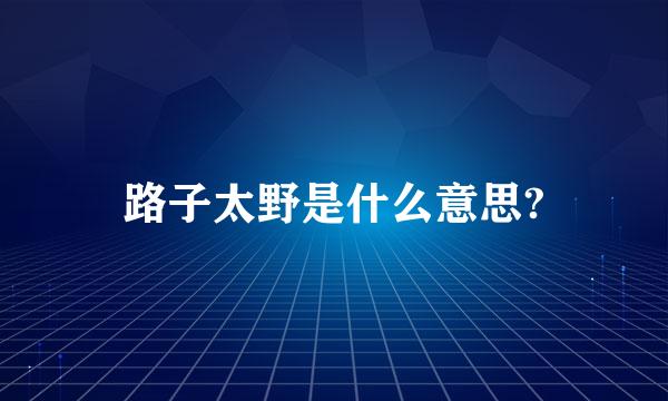 路子太野是什么意思?