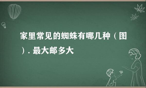 家里常见的蜘蛛有哪几种（图）. 最大邮多大