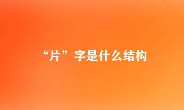 “片”字是什么结构