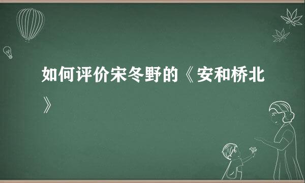 如何评价宋冬野的《安和桥北》