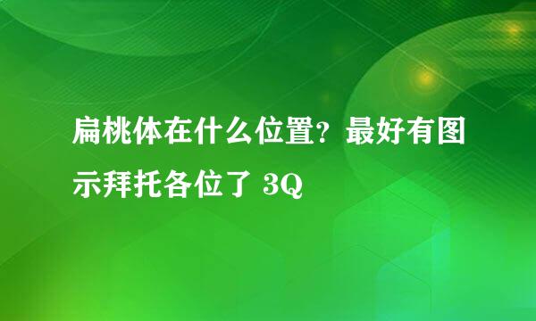 扁桃体在什么位置？最好有图示拜托各位了 3Q