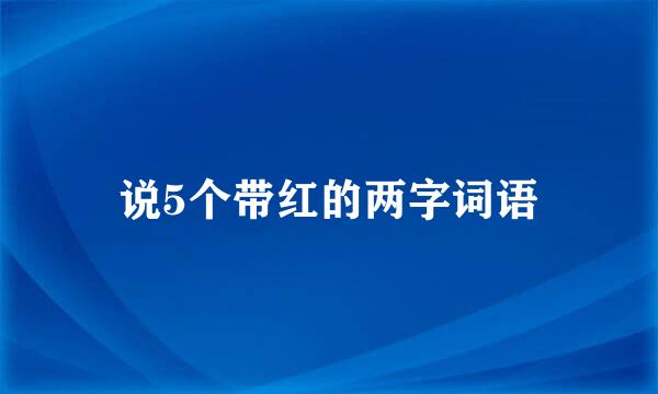 说5个带红的两字词语