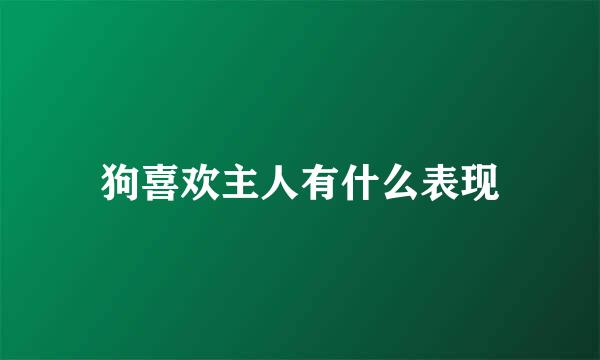 狗喜欢主人有什么表现