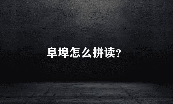 阜埠怎么拼读？