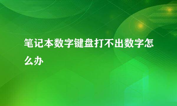 笔记本数字键盘打不出数字怎么办