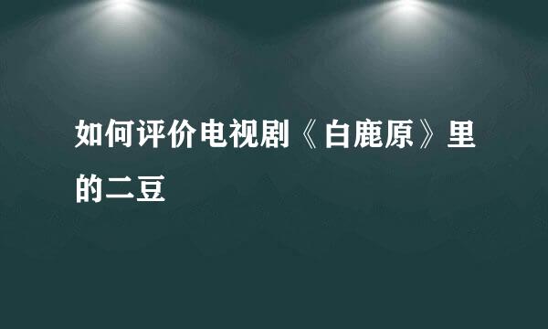 如何评价电视剧《白鹿原》里的二豆