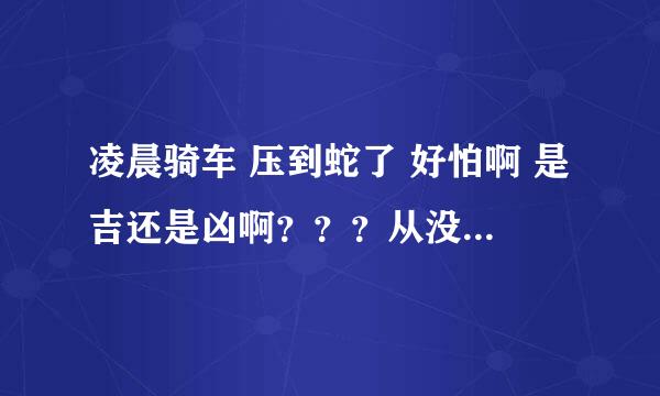 凌晨骑车 压到蛇了 好怕啊 是吉还是凶啊？？？从没杀过鸡的 竟然 压到 灵类动物啊。。。。该怎么办啊？？