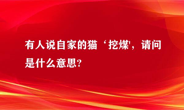 有人说自家的猫‘挖煤'，请问是什么意思?