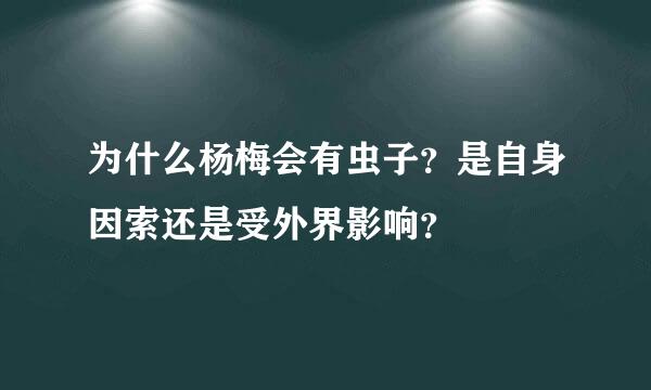 为什么杨梅会有虫子？是自身因索还是受外界影响？