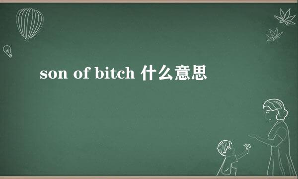 son of bitch 什么意思