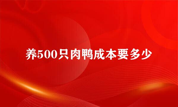 养500只肉鸭成本要多少